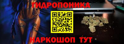 крисы Ипатово