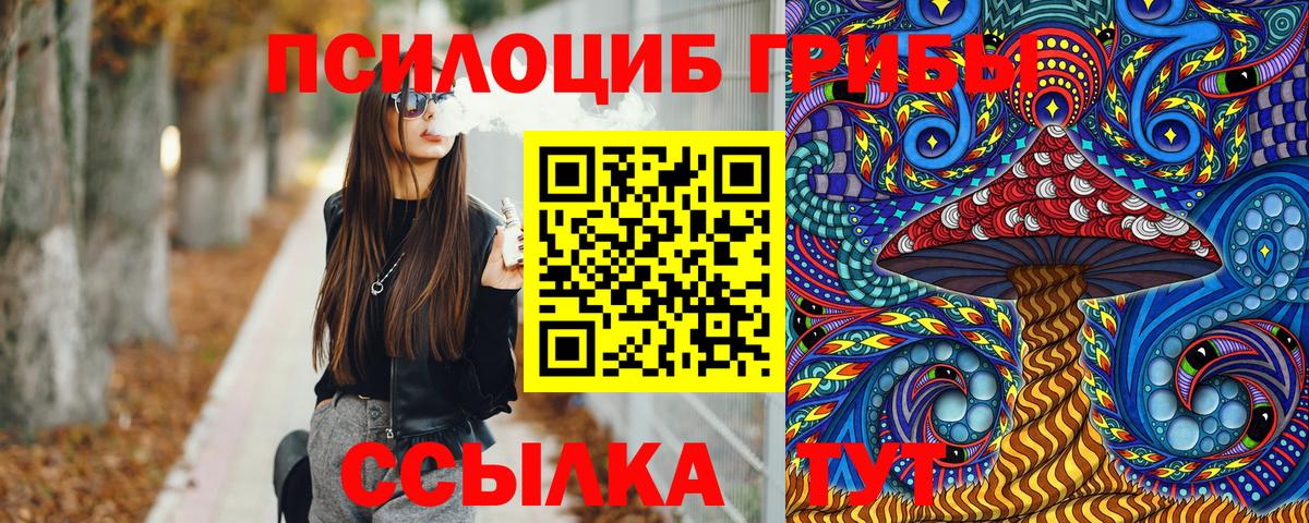 Галлюциногенные грибы Cubensis  Вход с VPN  Лабинск 